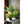 HC Companies 13-Inch Wide Sierra Planter Round Plastic Planter, Nordic Bronze
