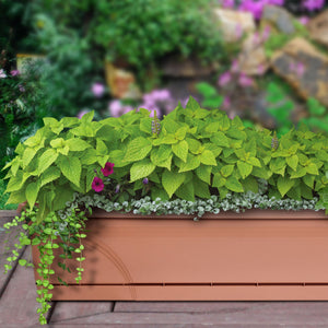 Southern Patio 36 In Medallion Hanging Windowsill Garden Box Planter, Terracotta - TRAPSKI