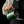 Phantom Precision Latte Art Pitcher – 600ml Narrow Spout for Advanced Patterns