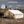 16'x20' Alpha Pro Wall Tent - TRAPSKI