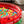 Intex Inflatable Kiddie Watermelon Pool with Multi-Colored Fun Ballz, 100 Pack