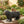 MGO Bear Bench - Concrete Outdoor Bench