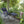 Lafuma Futura XL Air Comfort Series Outdoor Zero Gravity Lounge Chair, Black