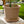The HC Companies 21 Inch Planter Saucer for Classic Pots, Sandstone, 4 Pack
