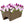 HC Companies SPX24DB0E2112-Inch Outdoor Plastic Deck Planter Box, Chocolate