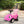 Best Ride On Cars Baby 3 in 1 Little Tikes Push Car Stroller Ride On Toy, Pink
