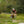Razor MX650 Electric Dirt Rocket Bike + Razor MX500 Dirt Rocket Electric Bike - TRAPSKI
