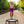 JumpSport 350 PRO Indoor Lightweight 39