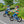 16 Inch Kids Bike Magnesium Alloy Training Bicycle Adjustable for 4 to 7 Years Old-16 inches