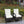 2-Piece Liberatore Dining Chairs with Beige Cushions