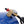 Portable 7-Gallon Air Compressor Tank