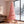 Snow Flocked Pencil Shape Artificial Christmas Tree