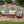 Honolulu - Wicker Set Outdoor Seating