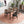 Destiny - Dining Chairs (Set of 2) - Black / Dark Brown