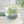 Sterilite 4.5 Cup Rectangle Ultra-Seal Food Storage Container, Green (6 Pack)