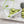 Sterilite 3.1 Cup Rectangular UltraSeal Food Storage Container, Green (24 Pack)
