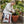 Michigan Peat Garden Magic Organic Planting Potting Soil, 40 Pound Bag (8 Pack)
