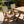 2 Piece HIPS Outdoor Dining Chair Perfect For Patio Meal Togethers & Garden Brunch Relaxation Moments