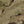 M-Tac Alder Camouflage Suit Multicam
