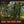 Big Game Guardian XLT 18 Foot 2 Person Deer Hunting Ladder Climbing Tree Stand