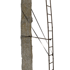 Big Game Warrior DXT 17 Foot 1 Person Deer Hunting Ladder Climbing Tree Stand