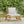 Sedona Outdoor Club Chair With Slatted Design