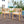 Patio Dining Chair (Set of 2) - Light Teak