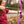Genesis Original Archery Compound Bow w/ Adjustable Sizing, Right Handed, Purple
