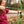 Genesis Original Archery Compound Bow, Adjustable Size, Draw Hand-Left, Green