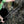 Genesis Gen-X Lightweight Archery Hunting Compound Bow, Draw Hand-Right, Black