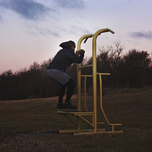 Stamina 65-1485 Weatherproof Steel Outdoor Fitness Power Tower Pro Station, Gold - TRAPSKI