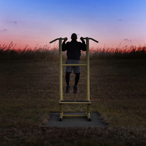 Stamina 65-1485 Weatherproof Steel Outdoor Fitness Power Tower Pro Station, Gold - TRAPSKI