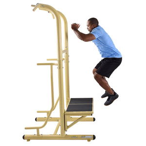 Stamina 65-1485 Weatherproof Steel Outdoor Fitness Power Tower Pro Station, Gold - TRAPSKI