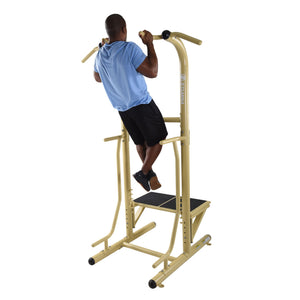 Stamina 65-1485 Weatherproof Steel Outdoor Fitness Power Tower Pro Station, Gold - TRAPSKI