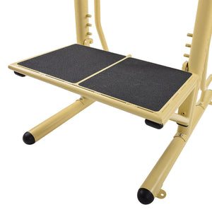Stamina 65-1485 Weatherproof Steel Outdoor Fitness Power Tower Pro Station, Gold - TRAPSKI