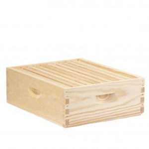 Little Giant 10 Frame Medium Honey Super Beehive Brood Body Wooden Keepsake Box - TRAPSKI