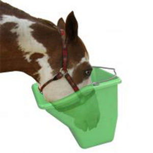 Little Giant 20-Quart Durable Plastic Flat Back Livestock Feed Bucket, Green - TRAPSKI
