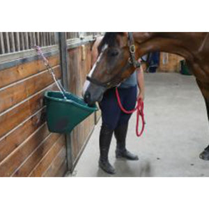 Little Giant 20-Quart Durable Plastic Flat Back Livestock Feed Bucket, Green - TRAPSKI