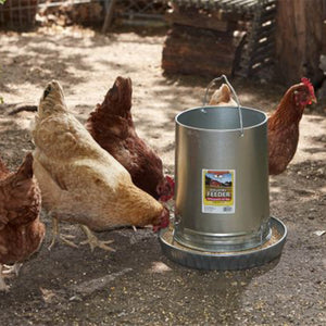 Little Giant 30-Pound Floor Space Saving Hanging Metal Poultry Feeder (2 Pack)