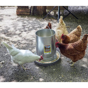 Little Giant 30-Pound Floor Space Saving Hanging Metal Poultry Feeder