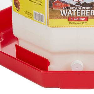 Little Giant PPF5 5 Gallon Capacity Automatic Poultry Waterer for Chickens, Red - TRAPSKI