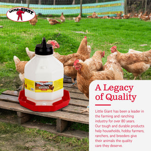 Little Giant PPF5 5 Gallon Automatic Poultry Waterer for Chickens, Red (4 Pack)