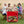 Portable Patio Cooler with Bottom Storage Shelf and Bottle Opener