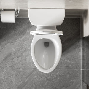 Gloss 2 Piece Toilet With 1.28 Gpf Tornado Flush, Rimless Bowl, Soft Closing Seat - Gloss White