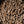 Bear Mountain BBQ 100% Natural Hardwood Alder Sweet Flavor Pellets, 20 Pounds