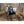 Viking Solutions Loading Assistant, Deer Hoist with Large Platform, SWIVELIFT