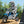 Razor MX350 Dirt Rocket 24V Electric Toy Motocross Motorcycle Dirt Bike, Blue - TRAPSKI