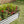 Metal Raised Garden Bed 4x2x1 ft