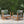 [Set of 2] Acacia Wood Outdoor Club Chair with Rope Accents