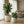 Round Concrete Planter Set of 2, Large Handmade Off White Pots